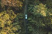 Luftaufnahme von oben auf ein silbernes Auto, das im Wald in der Nähe von Kaunas, Litauen, abseits der Straße fährt.