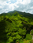 Luftaufnahme von üppig grünen Bergen und einem abgelegenen Tal, Ha Giang, Vietnam.