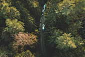 Luftaufnahme von oben auf ein silbernes Auto, das im Wald in der Nähe von Kaunas, Litauen, abseits der Straße fährt.