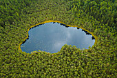 Aerial view of tiny ice age lake in the middle of woods near Moletai, Lithuania. Beautiful sky reflection on water surface.