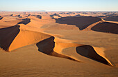 Luftaufnahme von Sanddünen in der Namib-Wüste. Die Kameldornbäume (Acacia erioloba) wachsen entlang des trockenen Flussbettes des Tsauchab-Flusses. Am Abend, Namib-Naukluft-Nationalpark, Namibia.