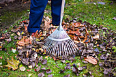 Person harkt Laub im herbstlichen Garten