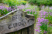 Rustic wooden gate to a flowering herb garden with chives (Allium schoenoprasum)
