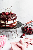 Black Forest cake