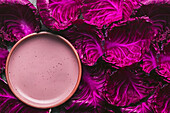 Pink plate on red cabbage leaves