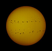 Sunspots on solar surface