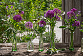 Ornamental onion, cranesbill blue and white, garlic mustard, lamb's ear in various bottles