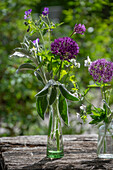 Ornamental onion, cranesbill blue and white, garlic mustard, lamb's ear in various bottles