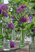 Ornamental onion, cranesbill blue and white, garlic mustard, lamb's ear in various bottles