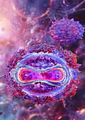 Mpox virus, illustration