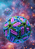 Zika virus, illustration