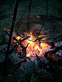 Campfire with swivelling barbecue