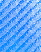 Fractal wavefronts abstract illustration.