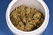 Medical cannabis