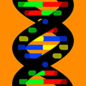 DNA molecule, illustration