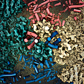 Ryanodine receptor molecule, illustration