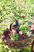 Rostdeko mit Sukkulenten in Pflanzgefäß im Garten