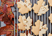 Maple Cookies