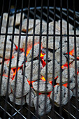 Glowing charcoal under the grill grate