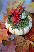 Zierkürbis mit Moos, Zieräpfeln, Peperoni und Herbstblättern