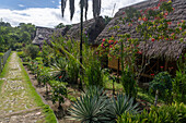 Rustikale Strohdachhütten in der Yarina Ecolodge am Napo-Fluss im Amazonasbecken von Ecuador.