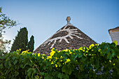 UNESCO World Heritage site Rione Monti trulli district in Alberobello, Puglia, Italy