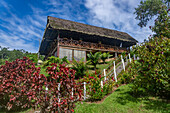 Reetdach-Restaurant in der Yarina Ecolodge am Napo-Fluss im Amazonasbecken von Ecuador.