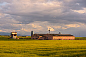Farm in Escalona del Prado, province of Segovia, Spain