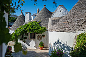 UNESCO World Heritage site Rione Monti trulli district in Alberobello, Puglia, Italy