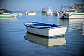 Bright fishing boats float calmly on the water at Isla del Moral in Ayamonte, Huelva, capturing the essence of coastal life.