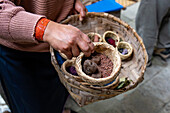 A woman shows achiote seeds for natural dye colors in the Tahuantinsuyo Weaving Workshop, Otavalo, Ecuador.