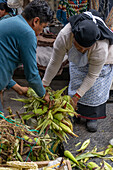 A Quechua Amerindian woman in traditional dress buys corn husks for animal feed in the open market in Quito, Ecuador.