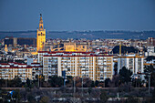 As twilight settles over Seville, the Giralda and Cathedral illuminate the skyline, showcasing their architectural beauty from Aljarafe.