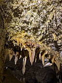 Stalactites & helictites in the Chimes Chamber in the Timpanogos Cave, Timpanogos Cave National Monument, Utah.