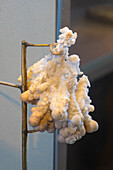 Argonite with cave popcorn on display in the visitors center at Carlsbad Caverns National Park, New Mexico.