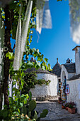 Crochet fabric hanging from a tree in UNESCO World Heritage site Rione Monti trulli district in Alberobello, Puglia, Italy