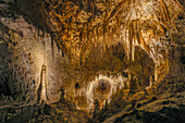 Speleothem formations in the Big Room in Carlsbad Caverns National Park, New Mexico.
