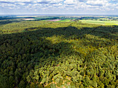 Aerial view of tranquil forest Boksenberg with conifers and shadows of clouds, Someren, Noord-Brabant, Netherlands.