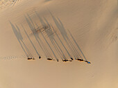 Aerial view of camels in the zahek dunes with shadows cast over the arid desert landscape, Socotra, Yemen.