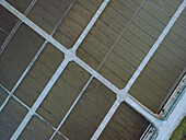 Aerial view of salt marshes with geometric patterns and organized lines, Figueira da Foz, Coimbra, Portugal.