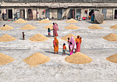 Dhaka, Bangladesch - 16 February 2025: Aerial view of vibrant courtyard scene with people, children, and women drying grain, Dhaka, Dhaka, Bangladesh.