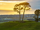 Aerial view of serene sunset over hills and trees with a picturesque sky, Papamoa, Bay of Plenty, New Zealand.