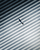 Aerial view of abstract striped patterns and shadows in a modern urban setting, The Loop, Chicago, Illinois, United States.