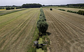 Aerial view of a line of trees stretching across golden fields, punctuated by a small canal and water control structure, Netherlands.