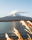 Blick auf den majestätischen Berg Fuji, der sich mit einer linsenförmigen Wolke über dem ruhigen Wasser eines Sees erhebt, umrahmt von goldenem Schilf, Fujikawaguchiko, Yamanashi, Japan.