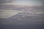 Blick auf einen majestätischen, schneebedeckten Berggipfel, der in der Abenddämmerung durch weiche, himmlische Wolken hindurchragt und eine ruhige Szene bietet, Kimana, Kajiado County, Kenia.