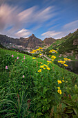 Luftaufnahme von gelb blühenden Wildblumen im Vordergrund, die im Kontrast zu den schroffen, hoch aufragenden Gipfeln in der Ferne stehen, Zakopane, Polen.