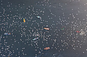 Aerial view of birds and fishing boats on the clear Yamuna River surrounded by scenic nature, Sadar Bazar, New Delhi, India.