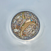 Aerial view of a tiny planet perspective of the city center with historic architecture and a river, Hull, England, United Kingdom.