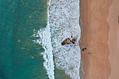 Aerial view of beautiful sandy beach with waves and clear blue ocean, Algave, Portugal.